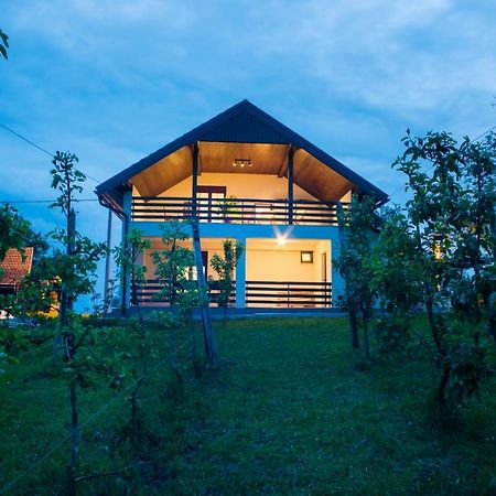 Holiday Home Dandelion With Hot Tub & Sauna Cetingrad Экстерьер фото
