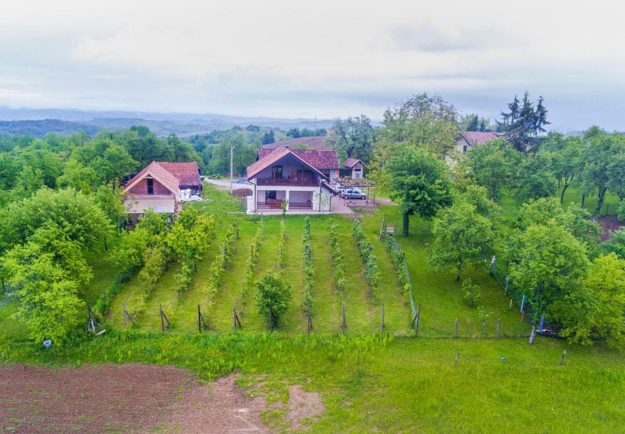 Holiday Home Dandelion With Hot Tub & Sauna Cetingrad Экстерьер фото